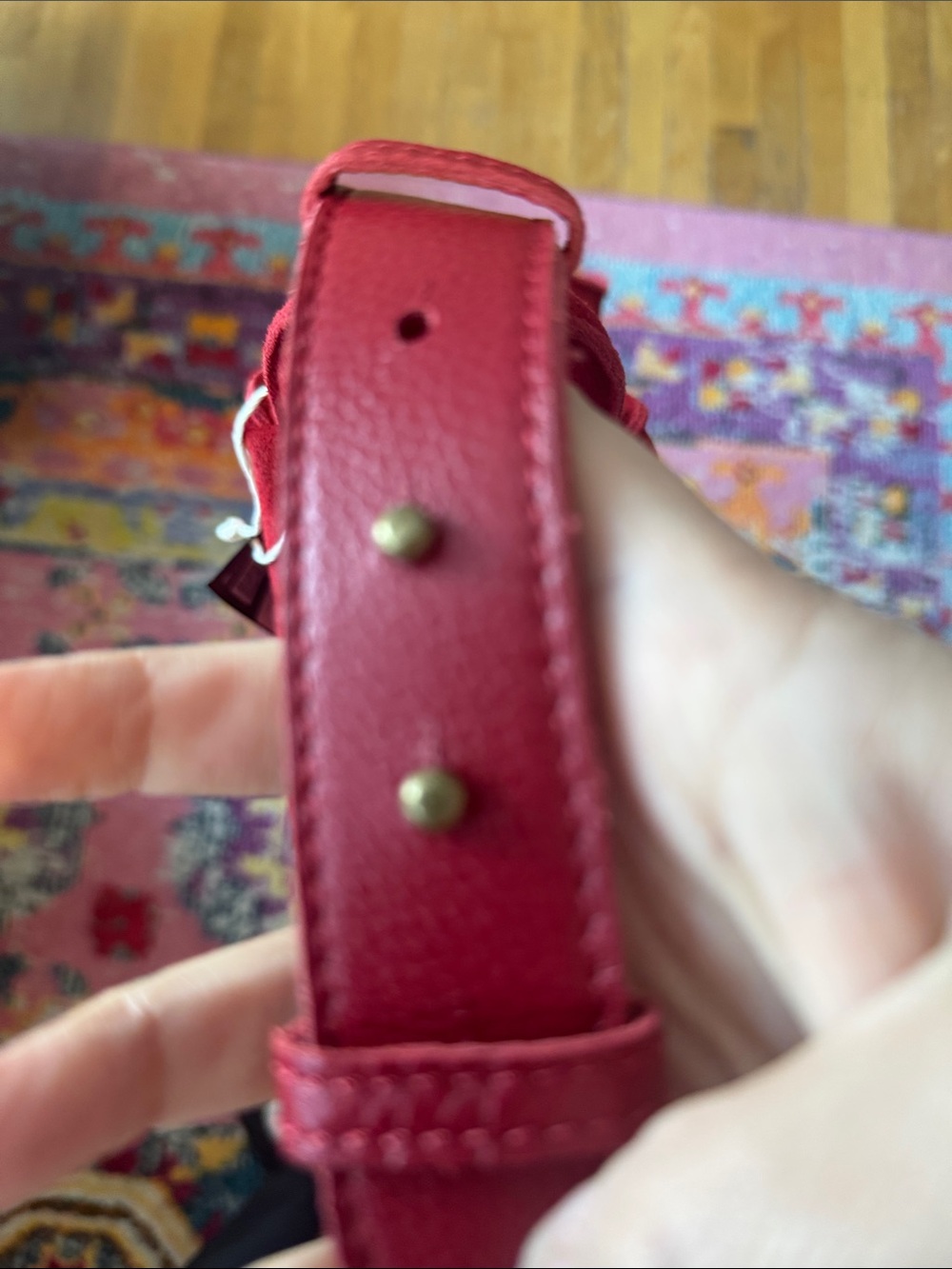 The Sak Los Feliz Hobo - Leather - Scarlet Suede red nwt boho - Picture 9 of 9